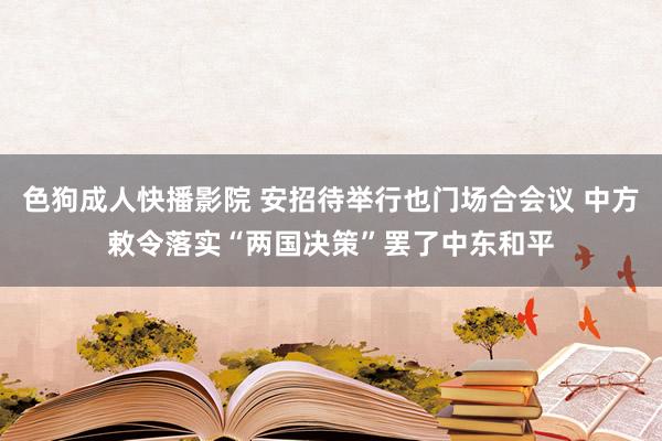 色狗成人快播影院 安招待举行也门场合会议 中方敕令落实“两国决策”罢了中东和平