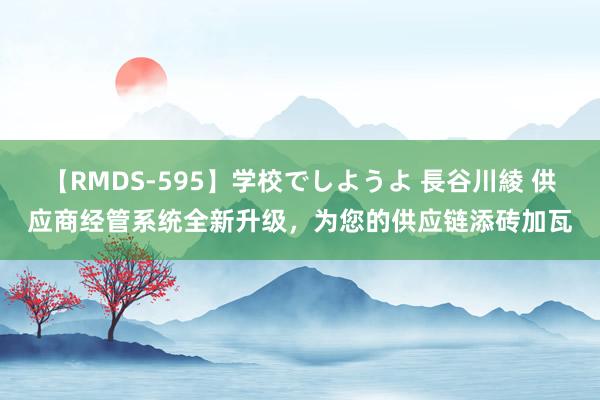 【RMDS-595】学校でしようよ 長谷川綾 供应商经管系统全新升级，为您的供应链添砖加瓦