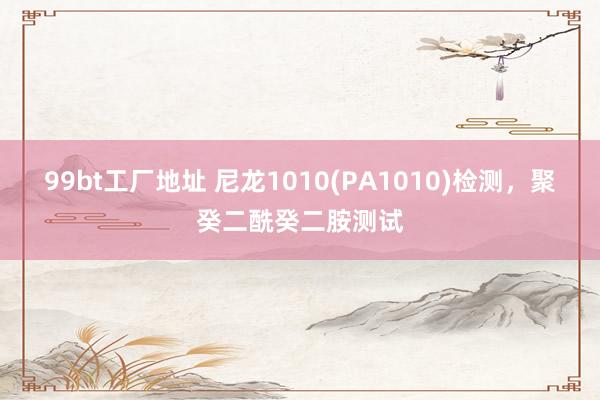 99bt工厂地址 尼龙1010(PA1010)检测，聚癸二酰癸二胺测试