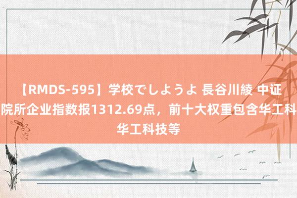 【RMDS-595】学校でしようよ 長谷川綾 中证高校院所企业指数报1312.69点，前十大权重包含华工科技等