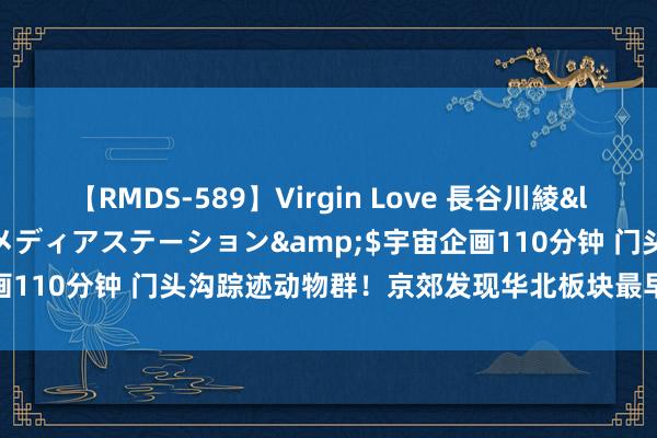 【RMDS-589】Virgin Love 長谷川綾</a>2010-05-17メディアステーション&$宇宙企画110分钟 门头沟踪迹动物群！京郊发现华北板块最早的四足动示寂石