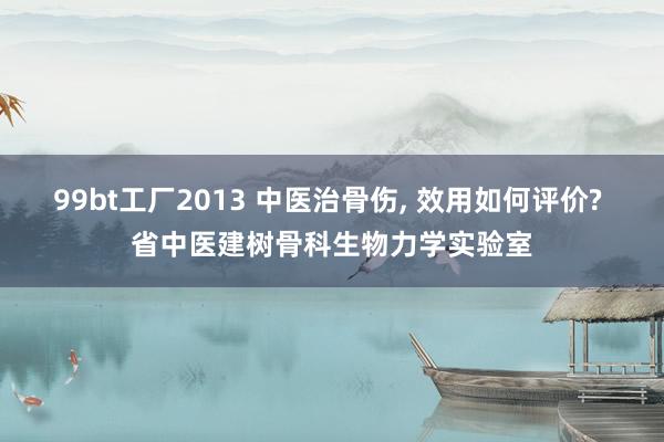 99bt工厂2013 中医治骨伤， 效用如何评价? 省中医建树骨科生物力学实验室