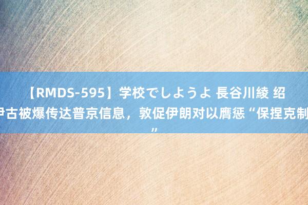 【RMDS-595】学校でしようよ 長谷川綾 绍伊古被爆传达普京信息，敦促伊朗对以膺惩“保捏克制”