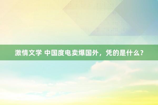 激情文学 中国度电卖爆国外，凭的是什么？