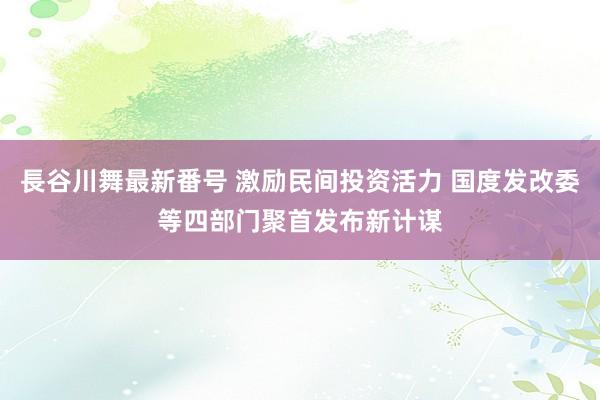 長谷川舞最新番号 激励民间投资活力 国度发改委等四部门聚首发布新计谋