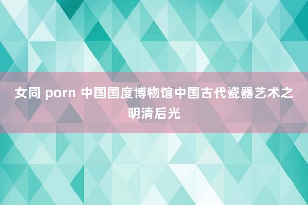 女同 porn 中国国度博物馆中国古代瓷器艺术之明清后光