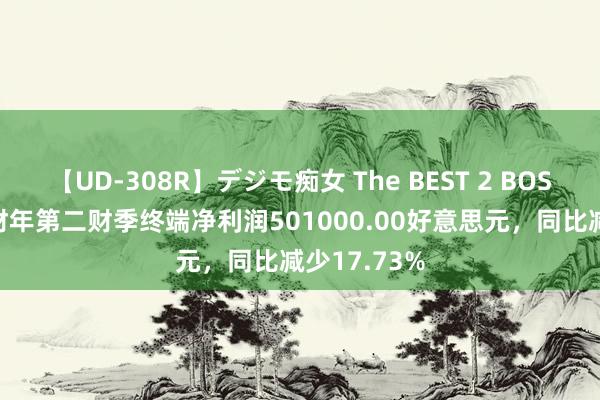 【UD-308R】デジモ痴女 The BEST 2 BOS科技2024财年第二财季终端净利润501000.00好意思元，同比减少17.73%