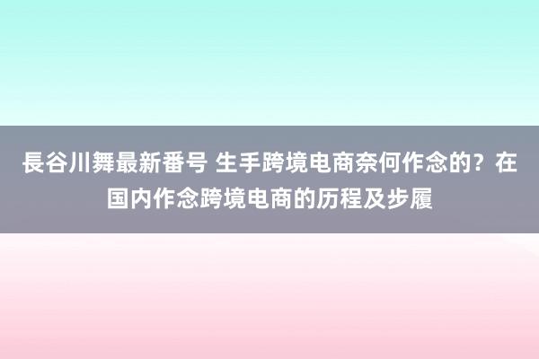 長谷川舞最新番号 生手跨境电商奈何作念的？在国内作念跨境电商的历程及步履