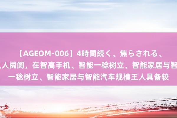 【AGEOM-006】4時間続く、焦らされる、すごい亀頭攻め 放眼人人阛阓，在智高手机、智能一稔树立、智能家居与智能汽车规模王人具备较