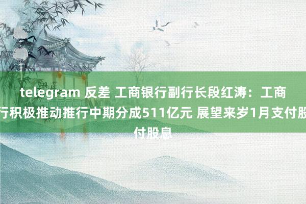 telegram 反差 工商银行副行长段红涛：工商银行积极推动推行中期分成511亿元 展望来岁1月支付股息